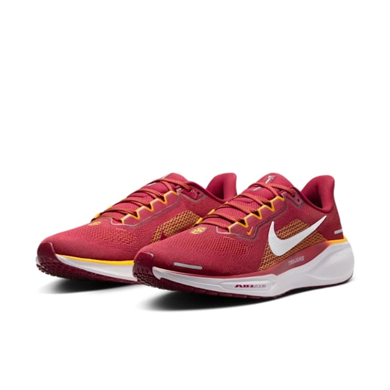 Nike Pegasus 41 FZ5150-600 05