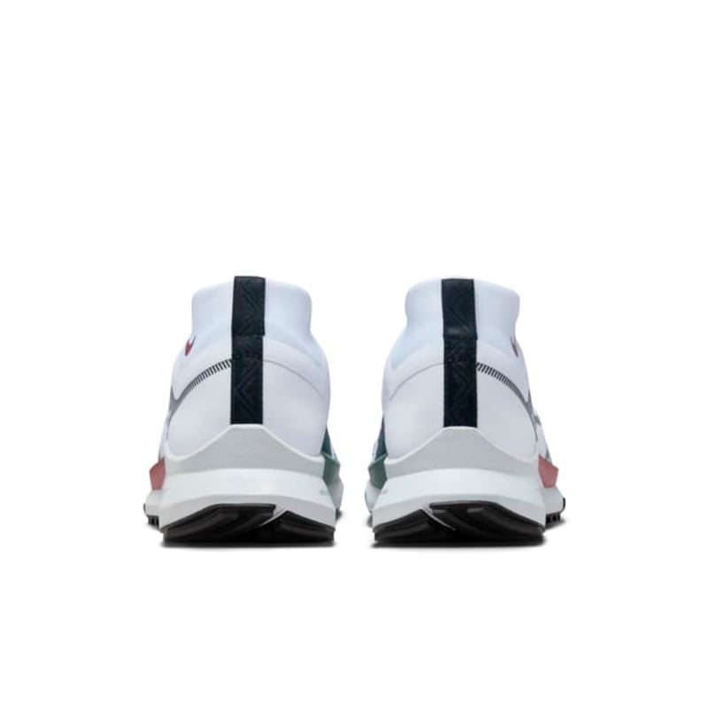 Nike Pegasus Trail 4 GORE-TEX DJ7929-102 06