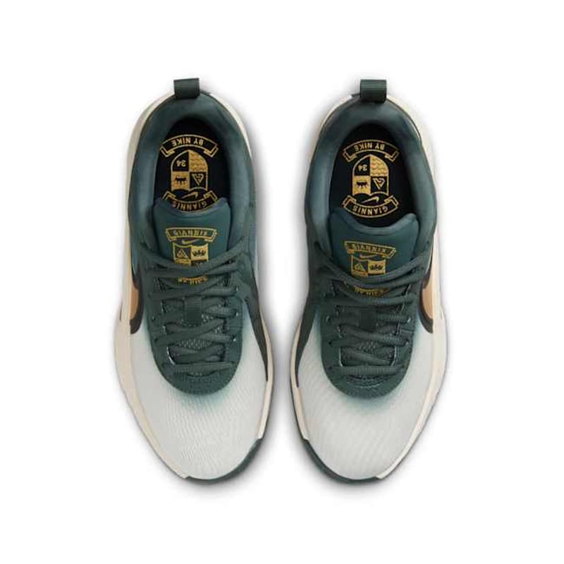 Nike Giannis Freak 6 FZ7305-300 04