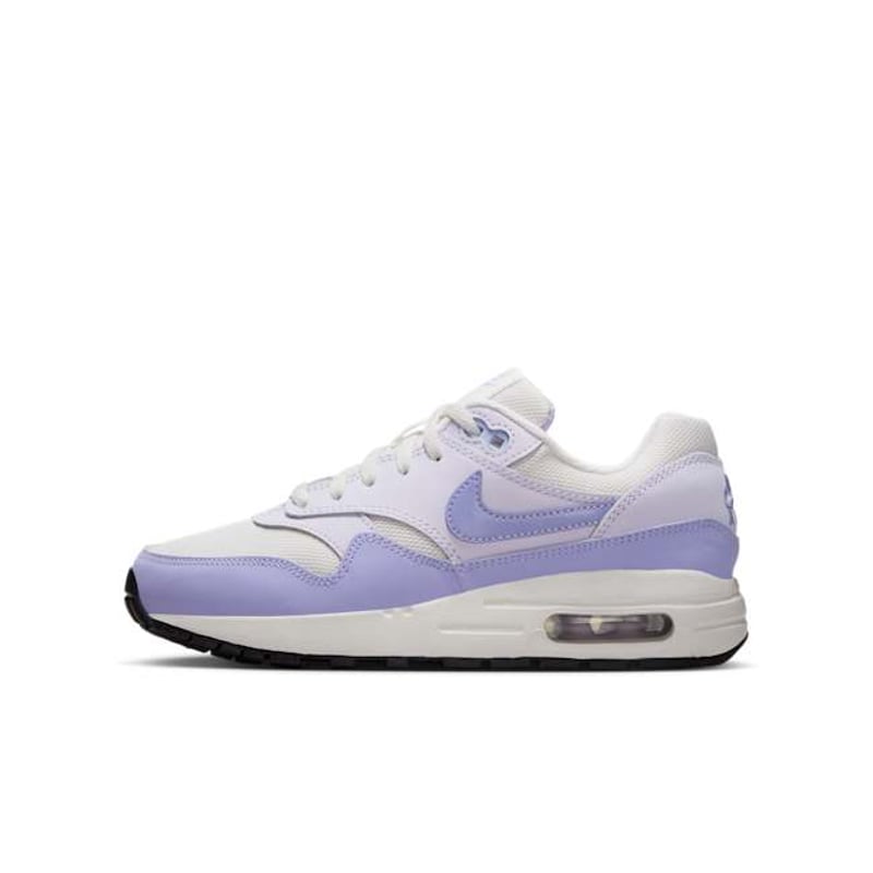 Nike Air Max 1 DZ3307-011 01