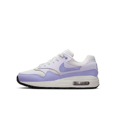 Nike Air Max 1 DZ3307-011