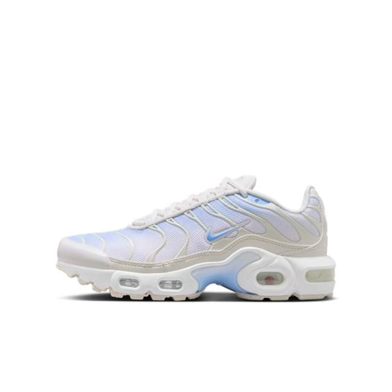 Nike Air Max Plus CD0609-411 01