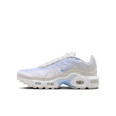 Nike Air Max Plus CD0609-411