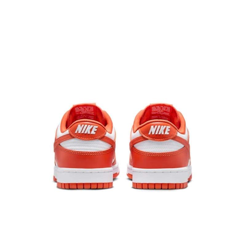 Nike Dunk Low DV0833-114 06