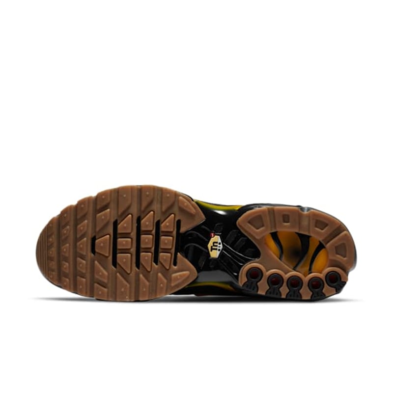 Nike Air Max Plus DC7392-300 02