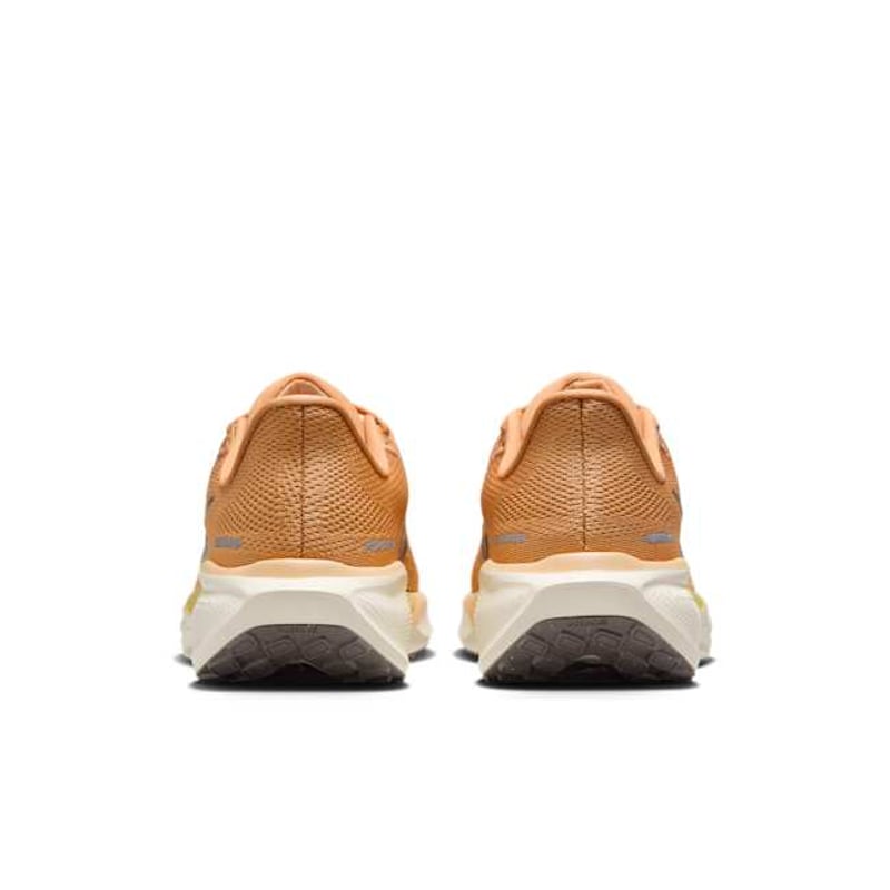 Nike Pegasus 41 FD2723-800 06