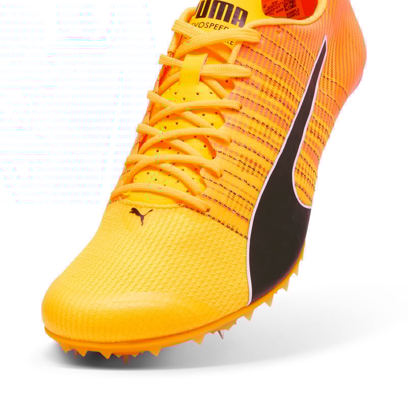 Puma evoSPEED Future 6 380023-01 04