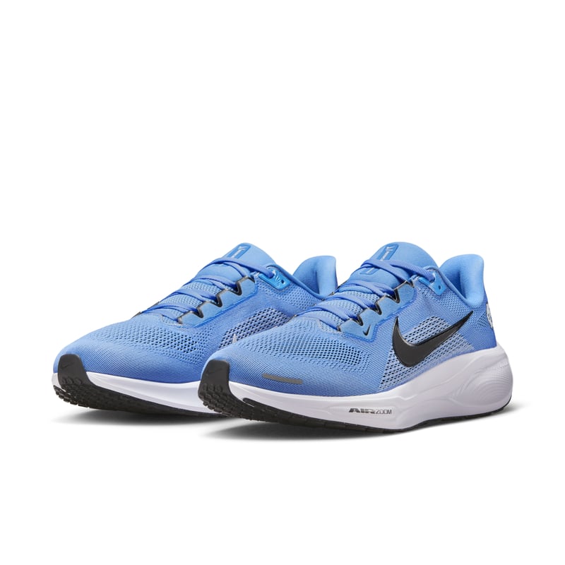 Nike Pegasus 41 IB3263-400 05