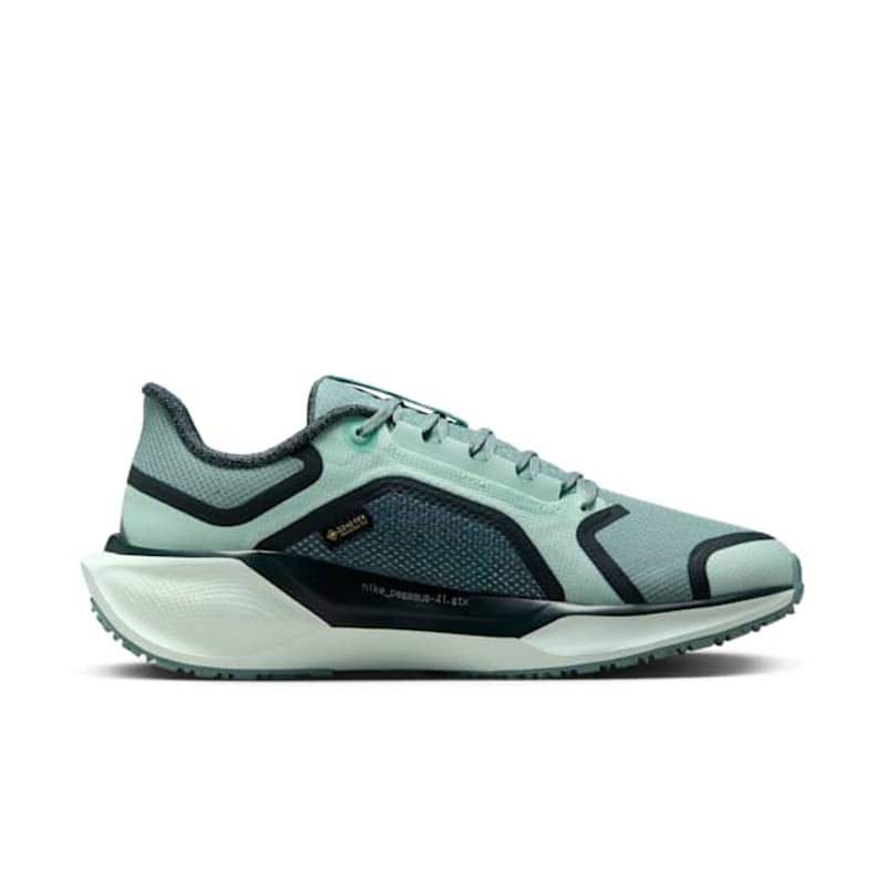 Nike Pegasus 41 GORE-TEX FQ1357-003 03