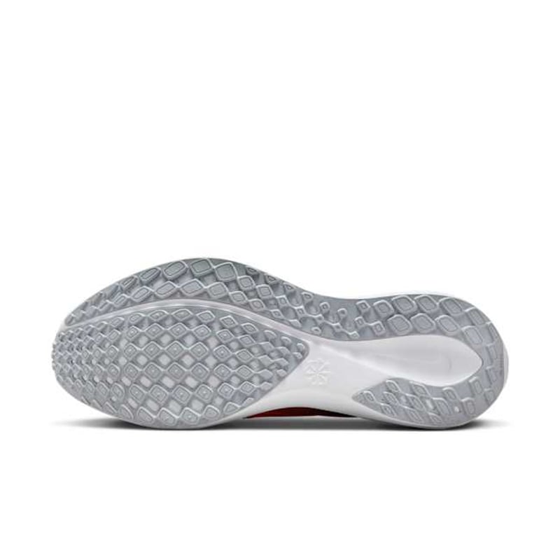 Nike Pegasus 41 FZ5144-800 02