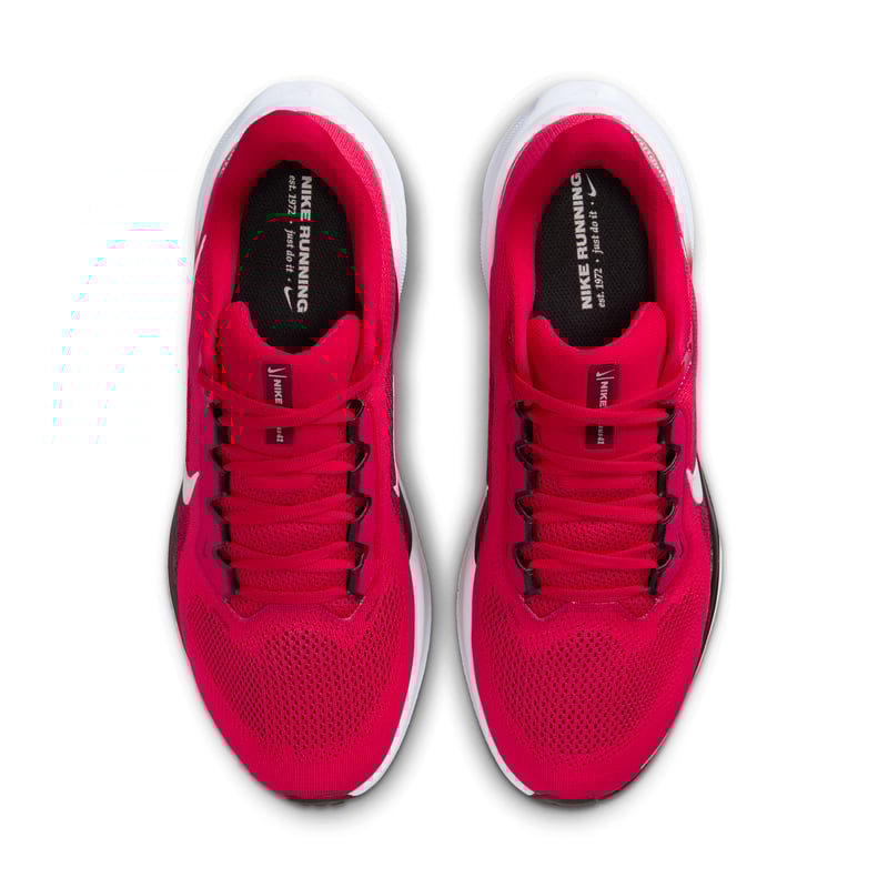 Nike Pegasus 41 IB3254-600 04
