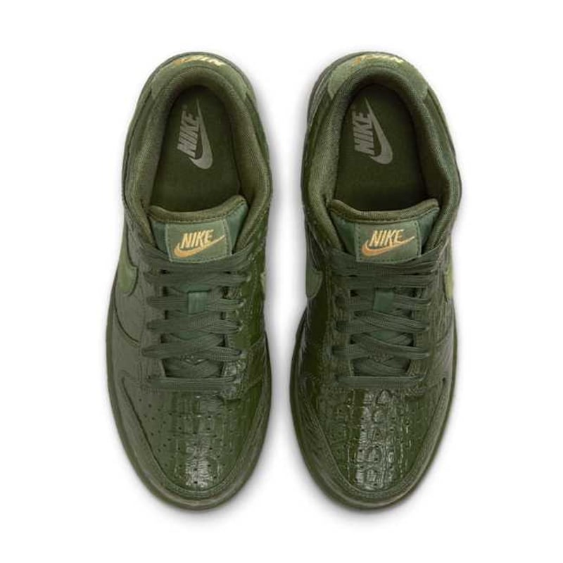 Nike Dunk Low HV4388-300 04