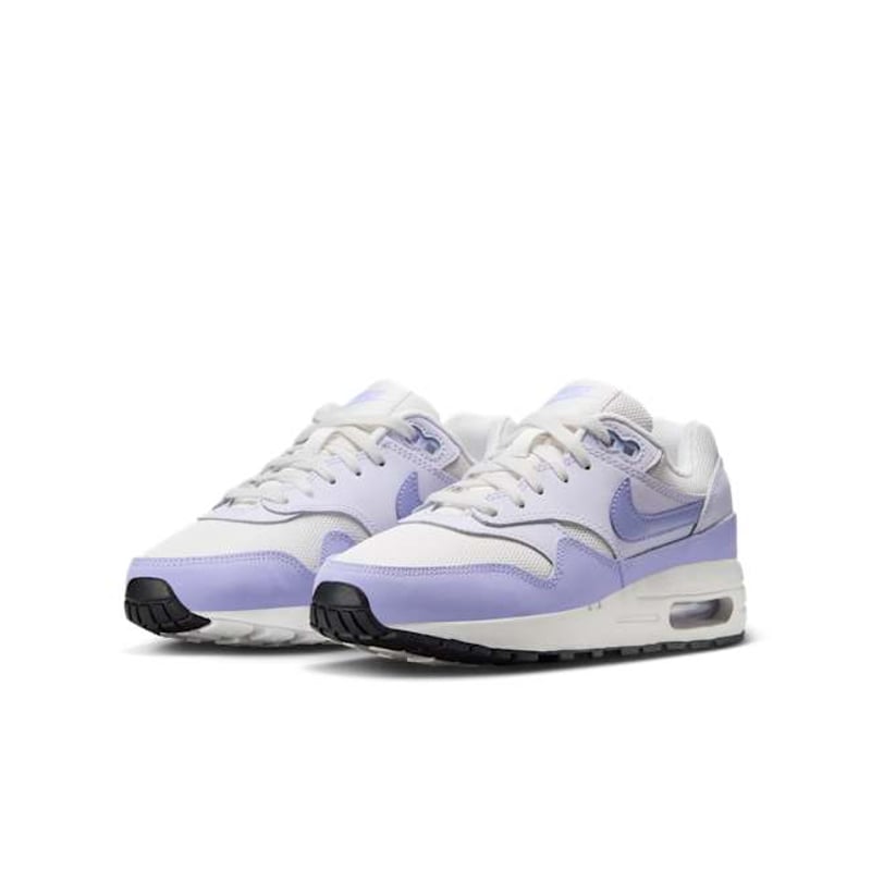 Nike Air Max 1 DZ3307-011 05