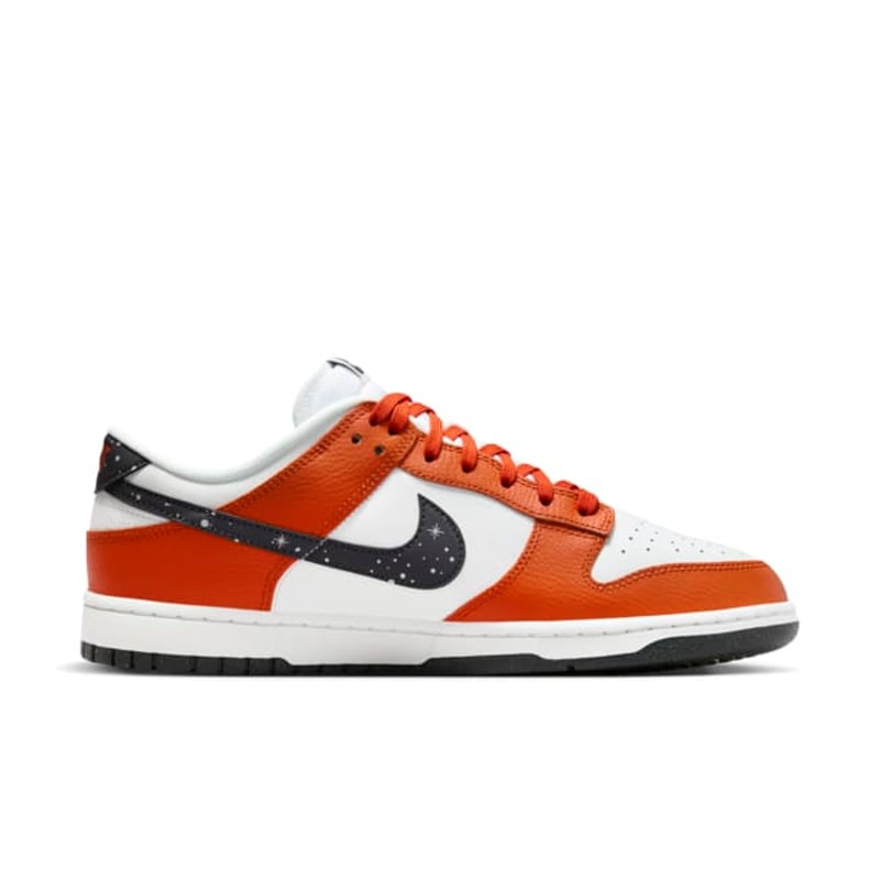 Nike Dunk Low FV6909-800 03