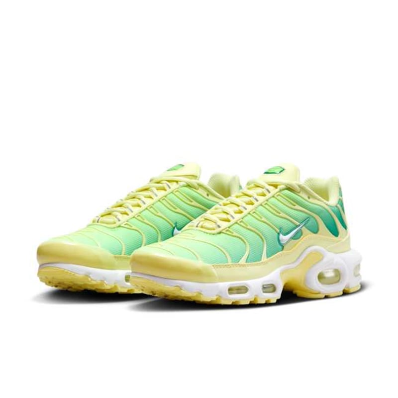 Nike Air Max Plus DZ3670-300 05