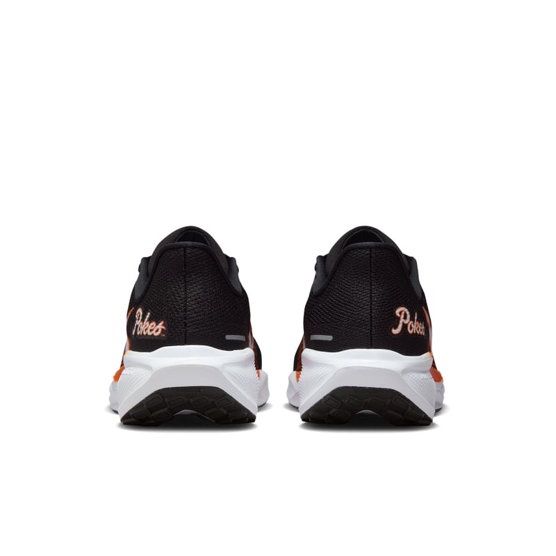 Nike Pegasus 41 FZ5136-002 06