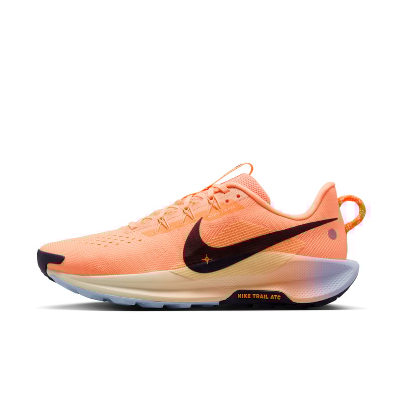 Nike Pegasus Trail 5 DV3864-800 01