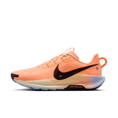 Nike Pegasus Trail 5 DV3864-800
