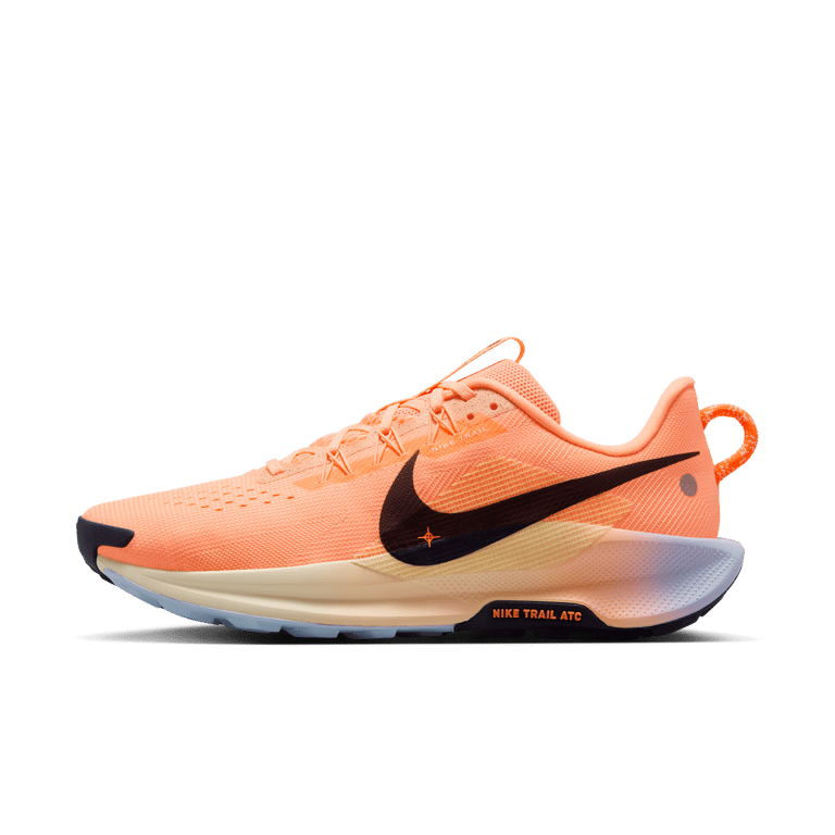 Nike Pegasus Trail 5