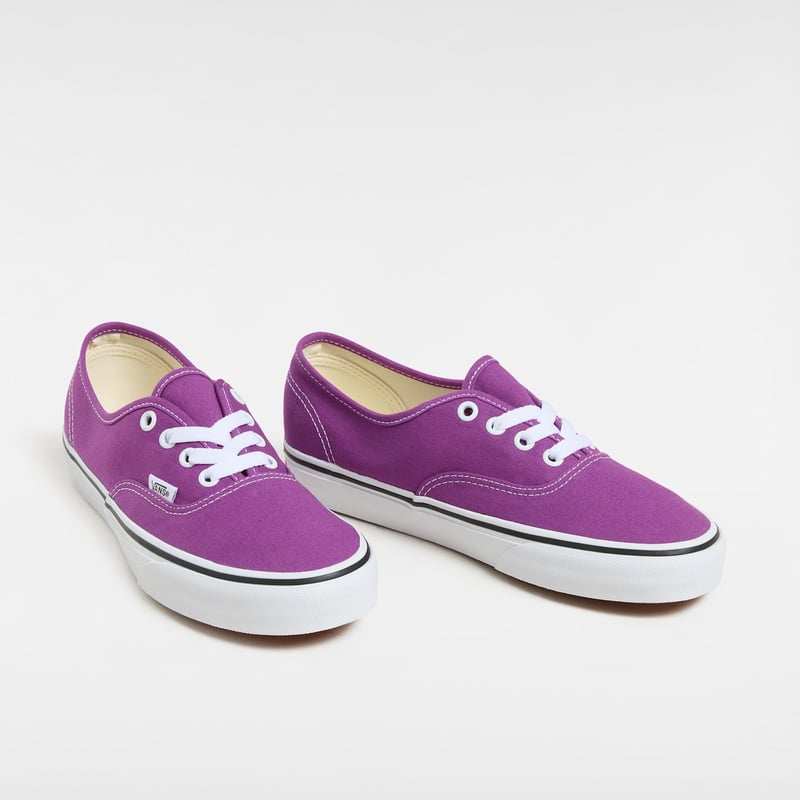 Vans Authentic Color Theory VN000D6GE2T 02