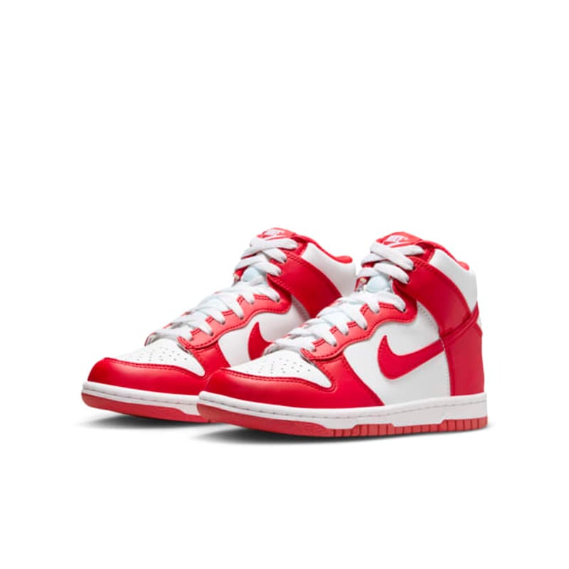 Nike Dunk High DB2179-115 05