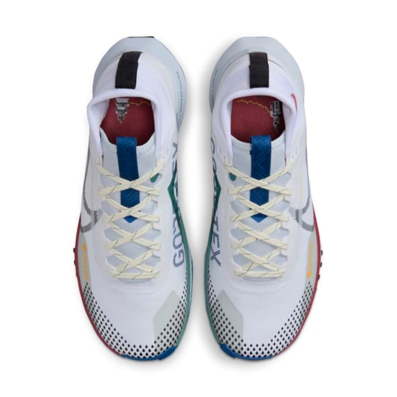 Nike Pegasus Trail 4 GORE-TEX DJ7929-102 04
