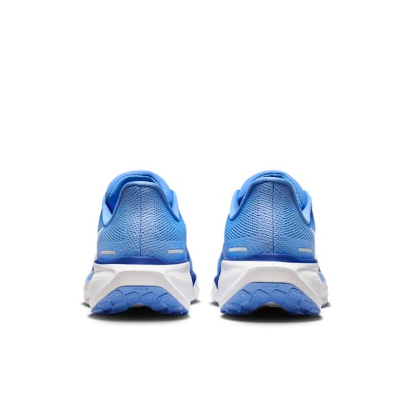 Nike Pegasus 41 FZ5141-400 06