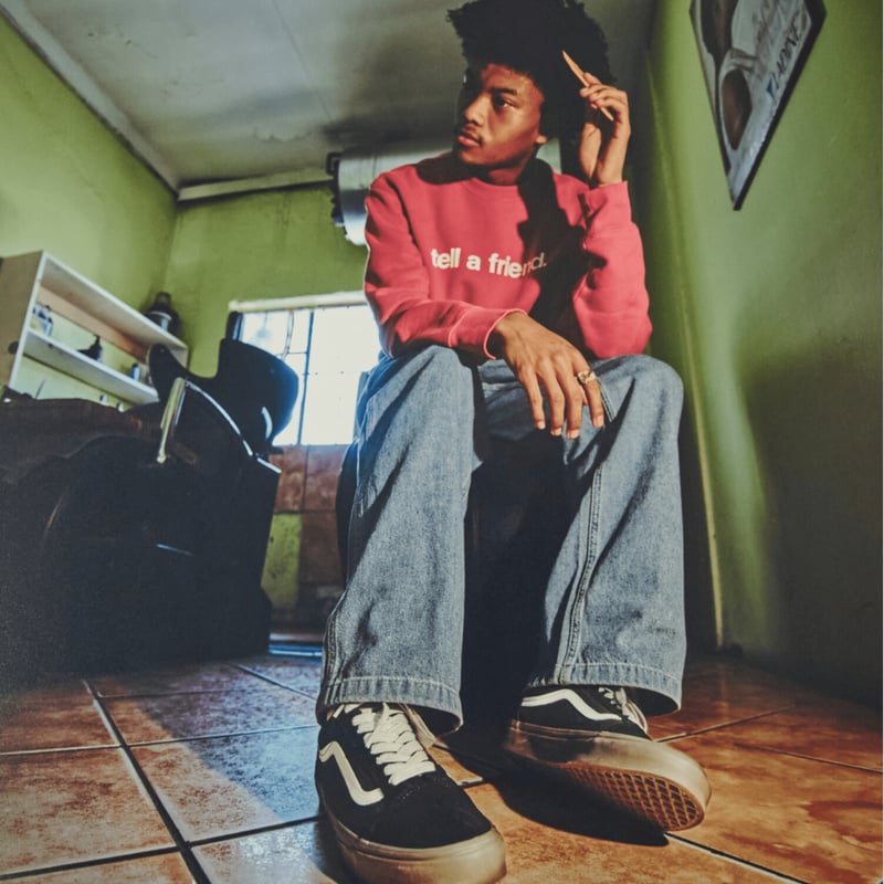 Vans Old Skool VN0A2Z42BMA 02
