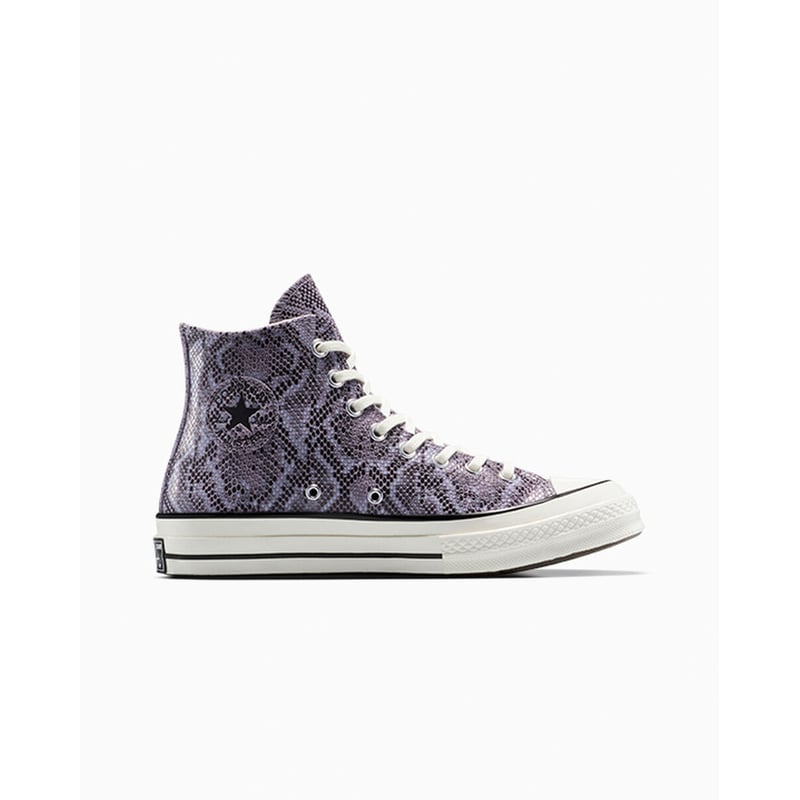 Converse Chuck 70 High A13610C 01