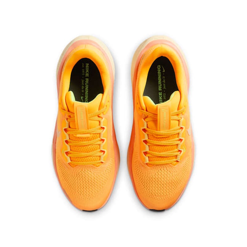 Nike Pegasus 41 FN5041-801 04