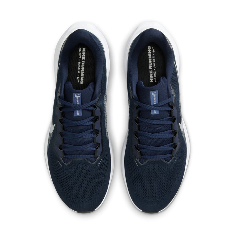 Nike Pegasus 41 IB3258-400 04