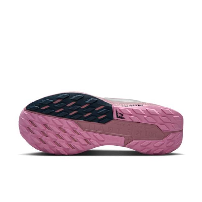 Nike Pegasus Trail 5 DV3865-500 02