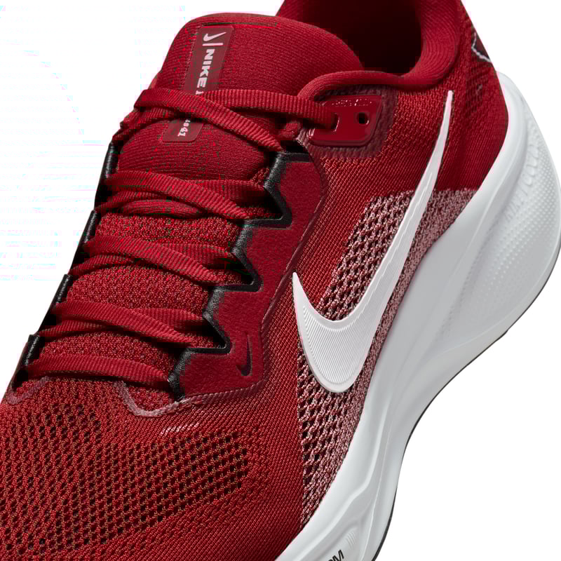Nike Pegasus 41 IB3191-600 07