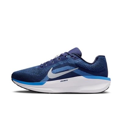 Nike Winflo 11 FJ9509-400