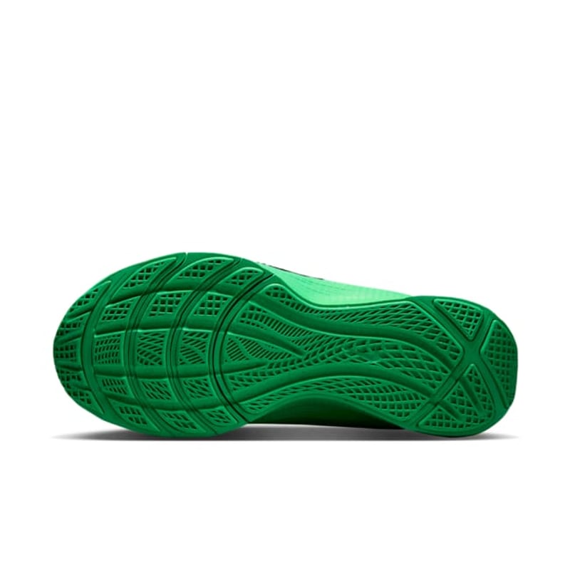 Nike LeBron TR1 FJ6151-300 02