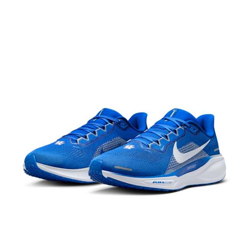 Nike Pegasus 41 FZ5117-400 05