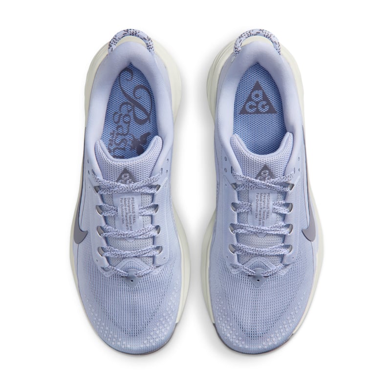 Nike ACG Pegasus HV8121-003 04