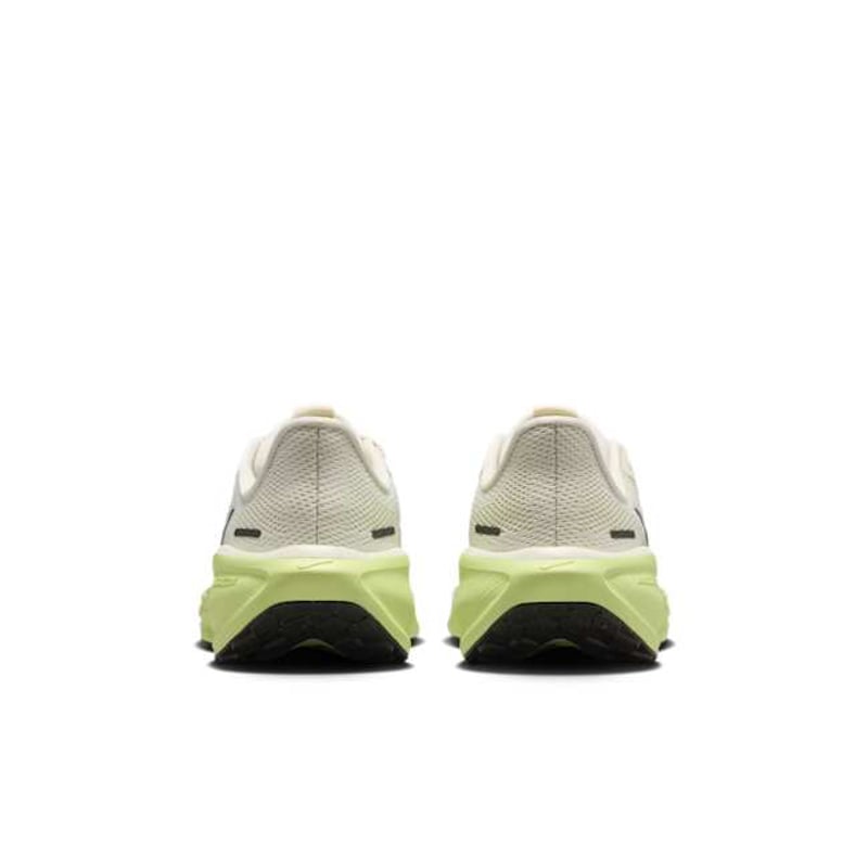 Nike Pegasus 41 FN5041-106 06