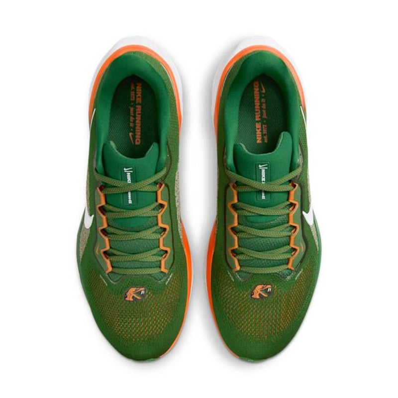 Nike Pegasus 41 FZ5112-300 04