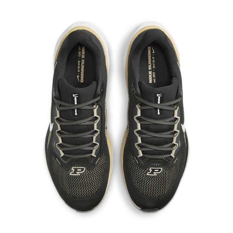 Nike Pegasus 41 HF6353-001 04