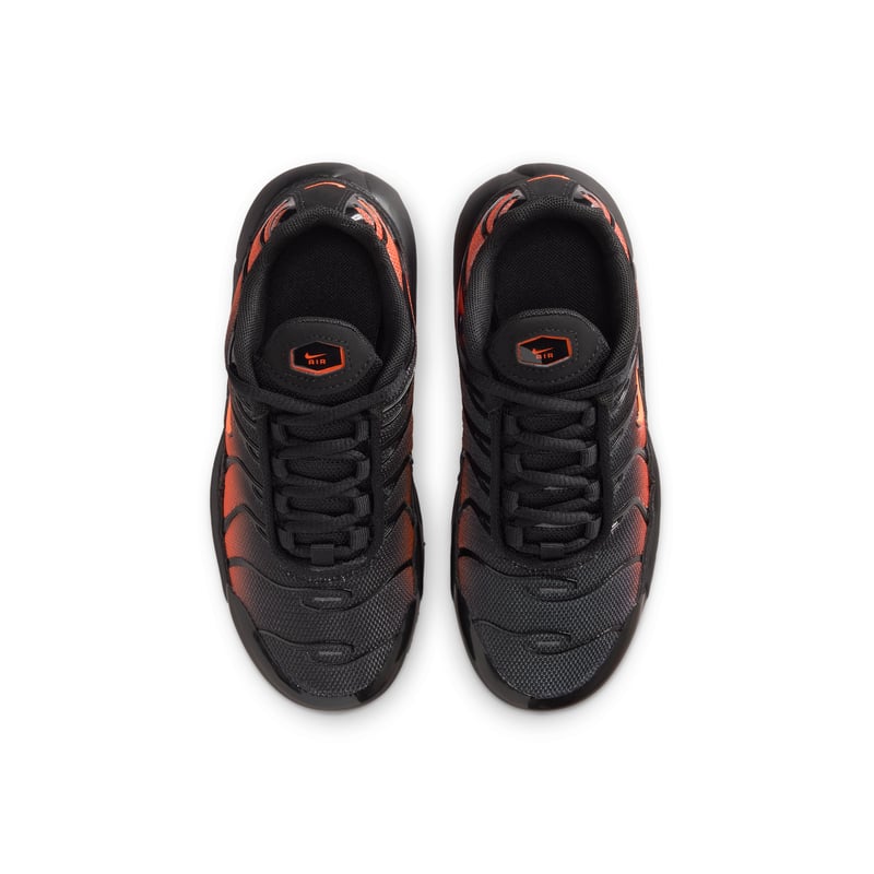 Nike Air Max Plus FZ0023-041 04