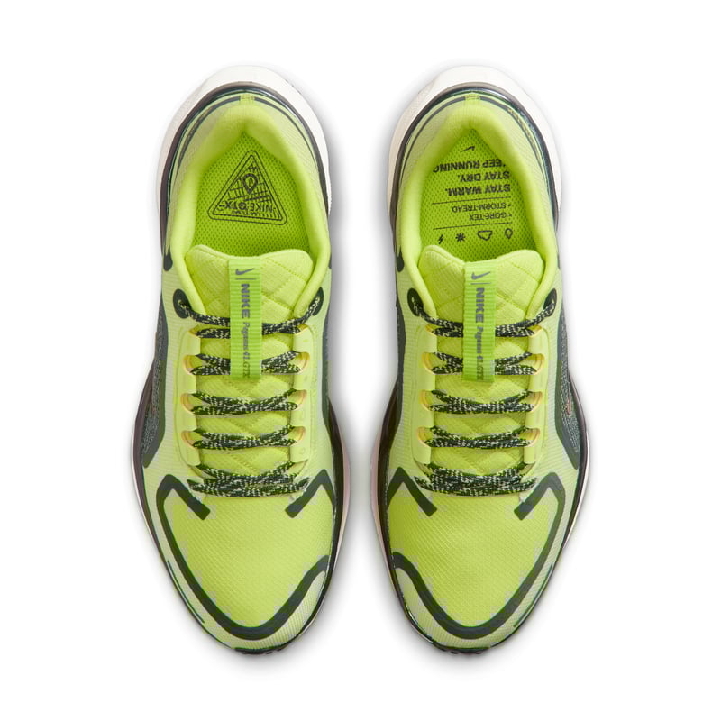 Nike Pegasus 41 GORE-TEX FQ1357-300 04