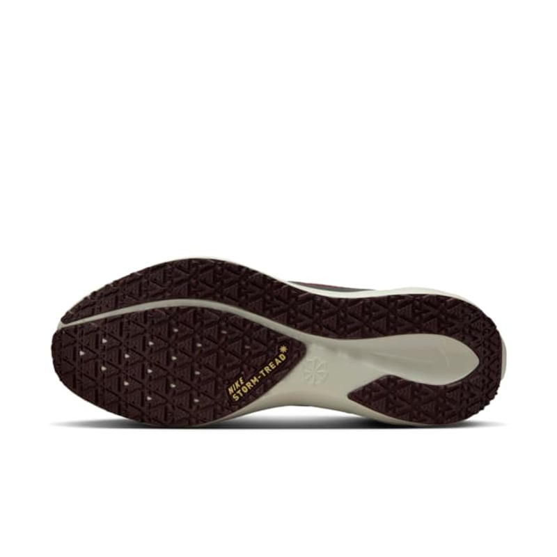 Nike Pegasus 41 GORE-TEX FQ1356-003 02