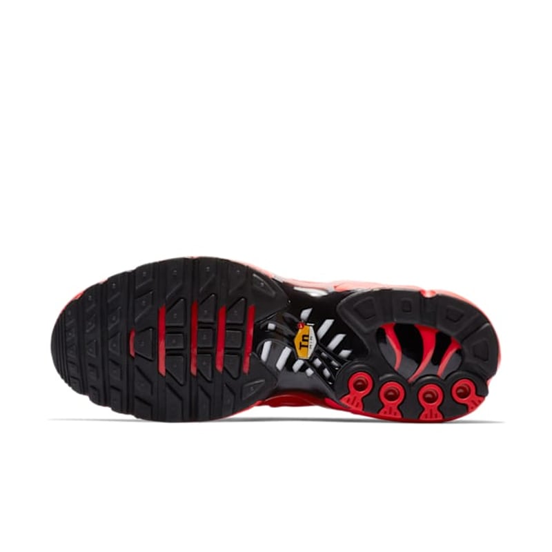 Nike Air Max Plus AV8424-600 02