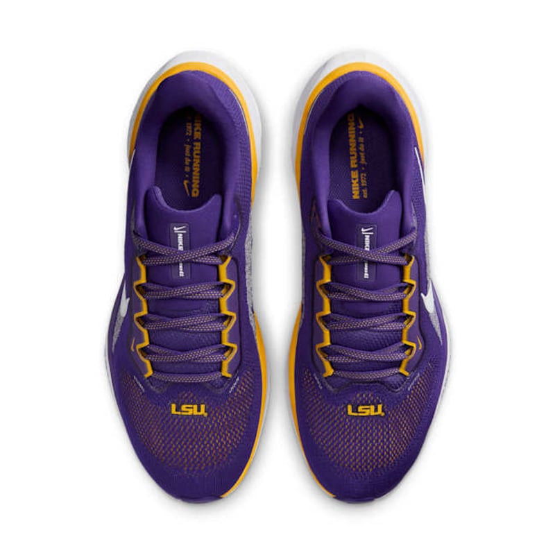 Nike Pegasus 41 FZ5126-500 04