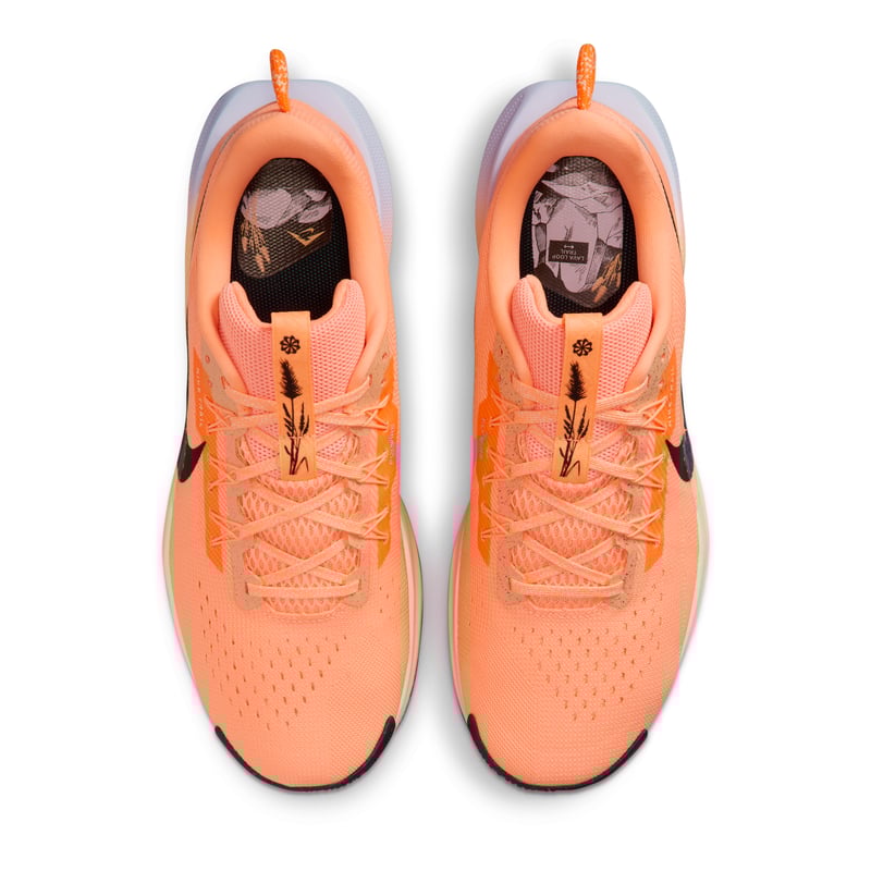 Nike Pegasus Trail 5 DV3864-800 04