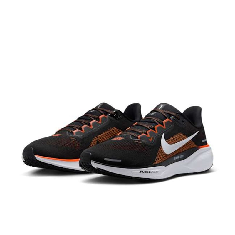 Nike Pegasus 41 FZ5136-001 05