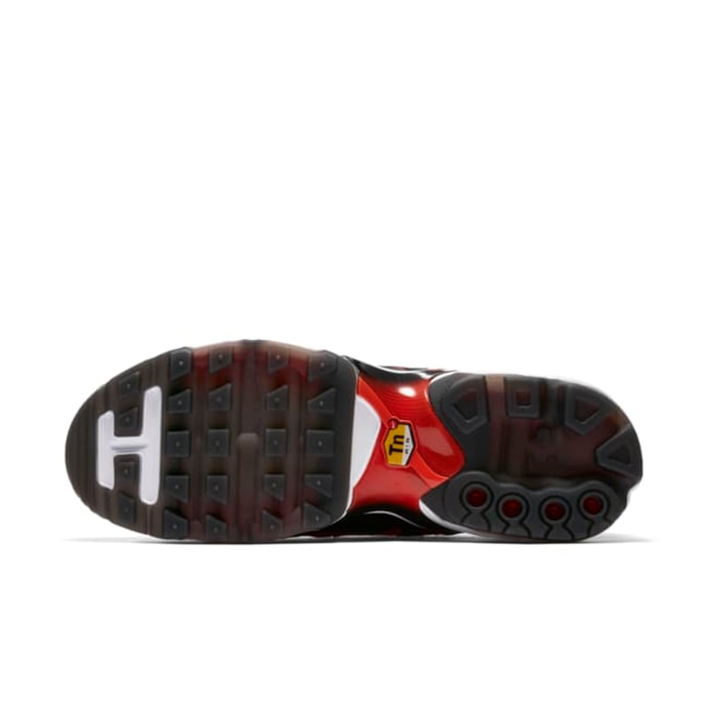 Nike Air Max Plus Ultra 898015-004 02