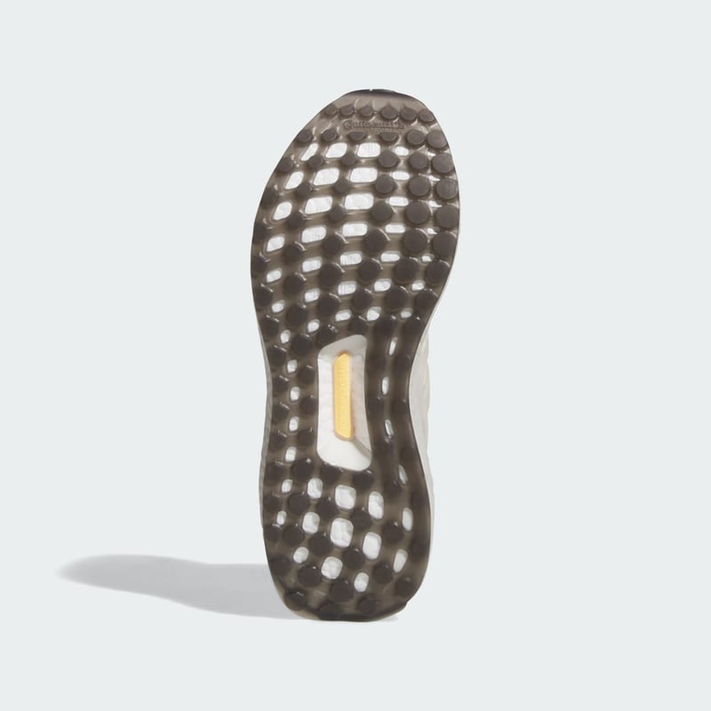 adidas Ultraboost 1.0 IE8484 04