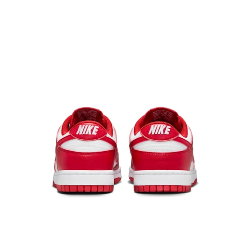 Nike Dunk Low Next Nature DD1873-116 06